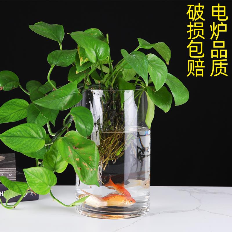 创意加厚直筒玻璃鱼缸圆柱形大号客厅落地花瓶水培透明玻璃摆金小