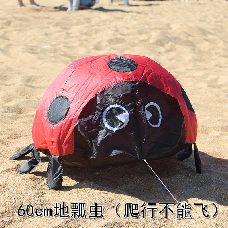 潍坊外贸风筝个性软体新款瓢虫多色挂件贴地沙滩好玩厂家批发