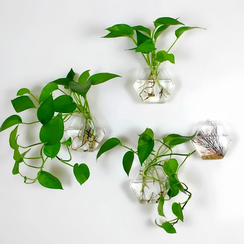 创意六角壁挂玻璃花瓶 六角形花