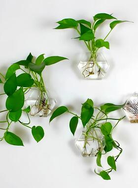创意六角壁挂玻璃花瓶 六角形花瓶4个装水培植物花瓶家居墙壁花瓶