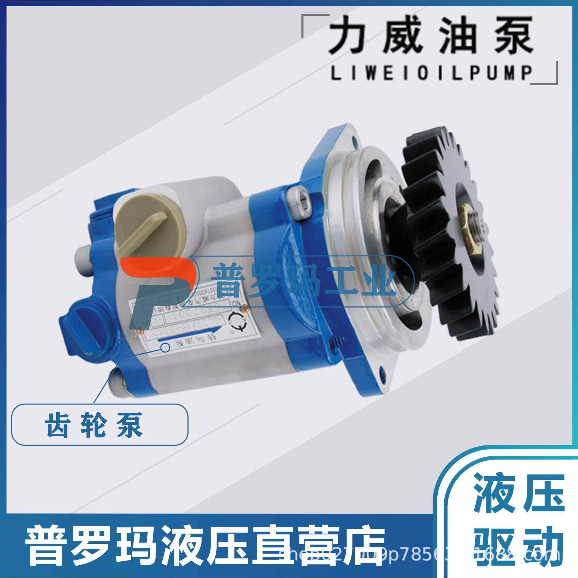 合肥力威 QC20/15-WP6 汽车油泵 合肥天力 动力泵转向齿轮泵