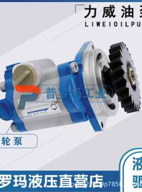 合肥力威 QC20/15-WP6 汽车油泵 合肥天力 动力泵转向齿轮泵