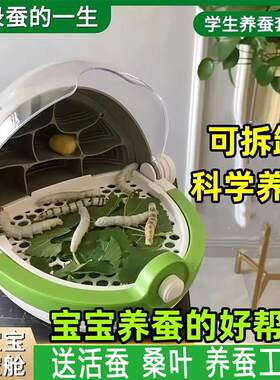 养蚕箱七彩蚕宝宝养育仓太空舱房子别墅的盒子养殖箱窝昆虫观察盒