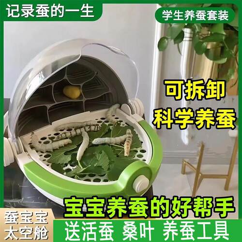 养蚕箱七彩蚕宝宝养育仓太空舱房子别墅的盒子养殖箱窝昆虫观察盒