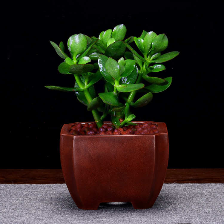 紫砂花盆盆景盆长方形六方四方手工仿古创意个性桌面绿植园艺