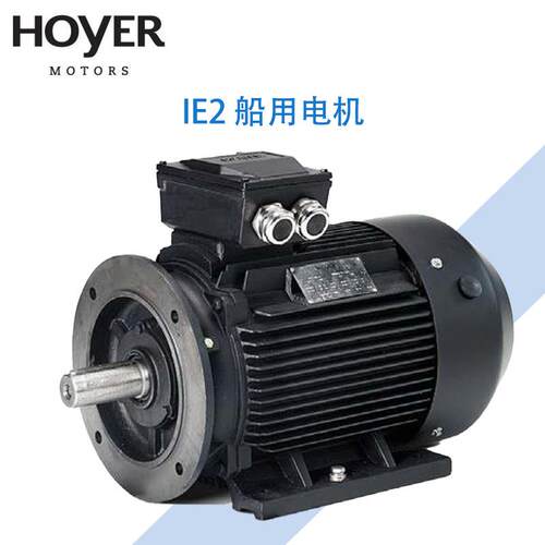 丹麦HOYER霍尔电机/船用/工业铸铁三相异步交流电动机/HMA2/HMC2