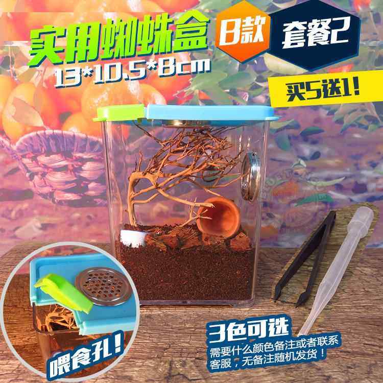 实用的幼体蜘蛛饲养盒树栖华丽雨林油彩粉红趾买5送1,宠物/宠物食品及用品,爬宠缸/箱,淘宝优惠券,粉丝福利购,淘宝优惠卷