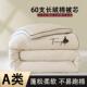 2024新款 60支长绒棉被芯a类母婴级加厚保暖冬被单人春秋被双人被