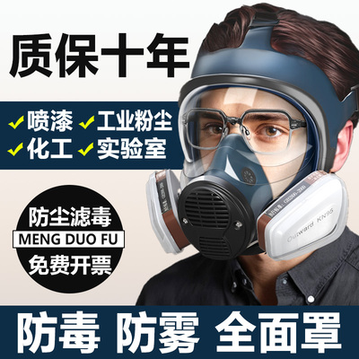 防毒面具全面罩放毒硫化氢化工气体实验室防尘全脸防护喷漆专用