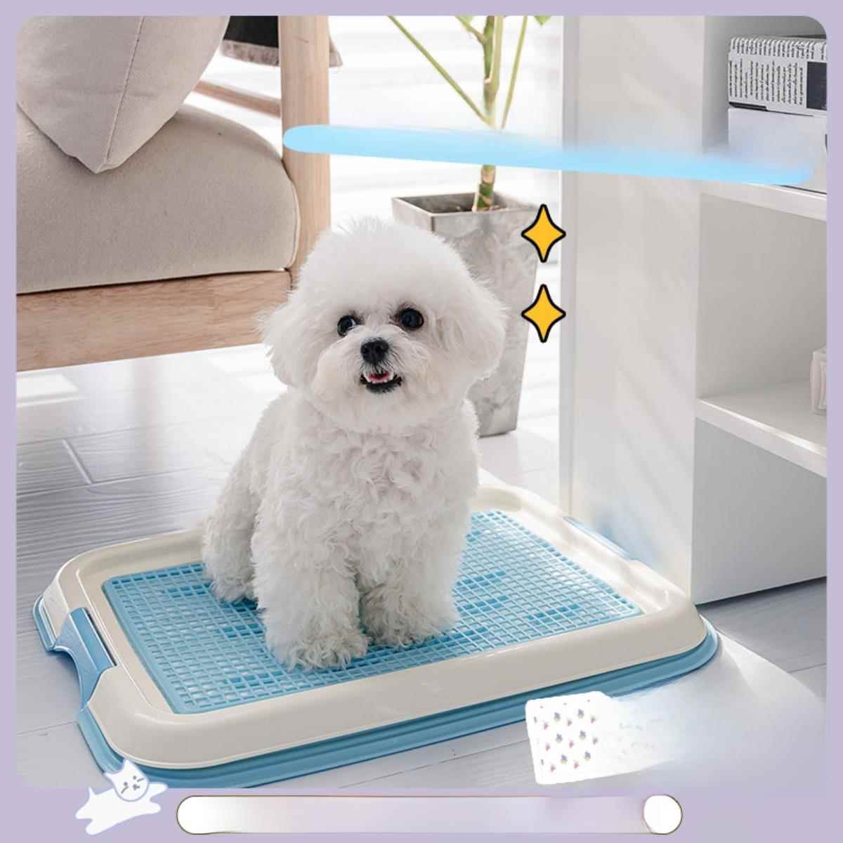 爱丽丝狗厕所小尺寸狗中型狗防踩平板宠物狗专用便盆爱丽丝