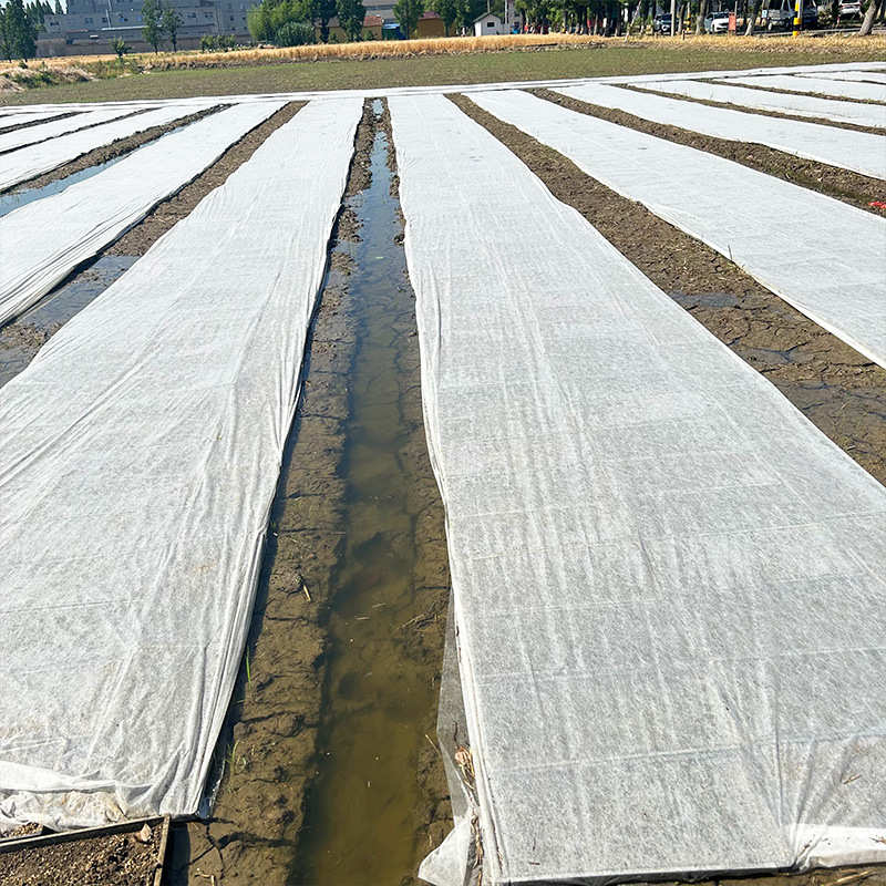 农用水稻育秧无纺布育苗保温透气膜盖瓜果蔬菜苗家具包装汽车包装