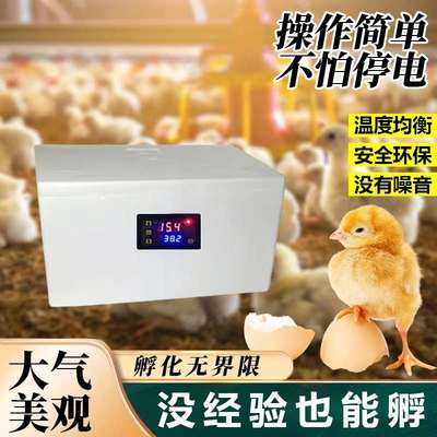 家用水床孵化器高孵化率小鸡鸭鹅鹌鹑芦丁鸡鹦鹉孵化箱全自动