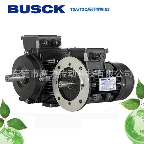 瑞典BUSC电机Buscmotors布斯克三相异步电机T4A/T4C/T3A/3C