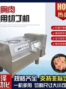 鸭胸肉切丁机中泽不锈钢椰子肉切丁机冻豆腐速切丁设备制造商
