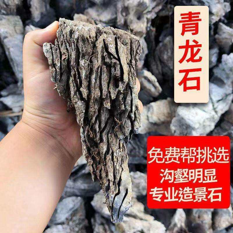 精品青龙石长条造景石酸洗鱼缸假山原石鱼池草缸盆景园林景观英德