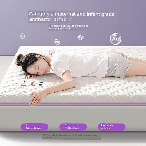 德国乳胶床垫宿舍学生单床垫校内住宿特殊宿舍90X190Cm大学生