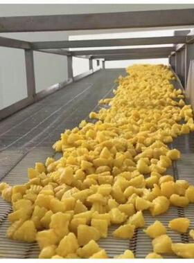 菩提南瓜裹浆油炸生产线 锅巴土豆上浆油炸机 杏鲍菇油炸设备