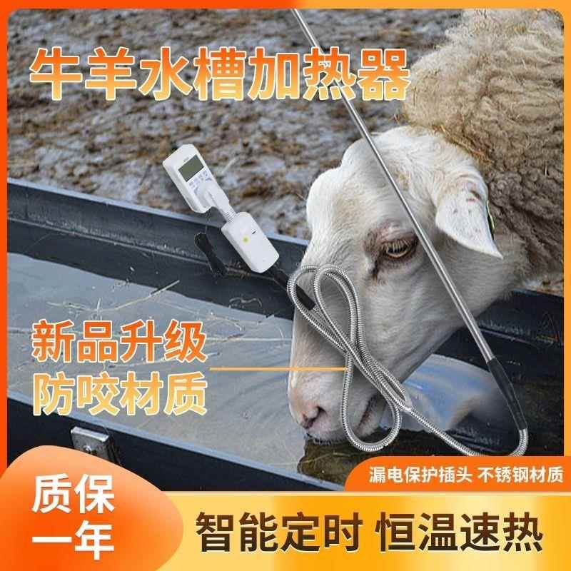 直销牛羊水槽加热棒220v防干烧防漏电智能恒温加热器加热管