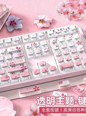 渐变粉色樱花PBT热升华透明透光水晶个性机械键盘键帽客制化87108