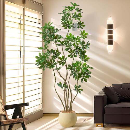 轻奢绿植彷真鸭脚木落地大型假树室内客厅高级感彷生植物装饰摆饰