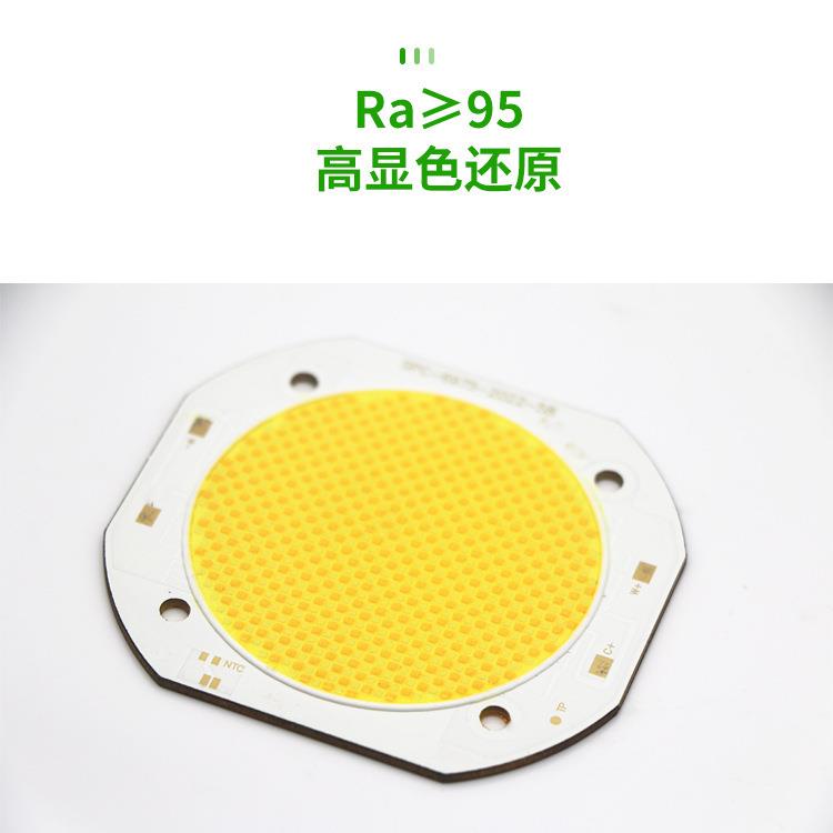 影视直播 COB 灯珠 1200W 60000lm 高亮 Ra95高显指 专业摄影补光