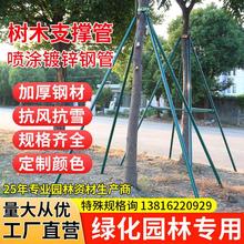 树木支撑架镀锌钢管绿化支撑杆金属大杆防风固定器抱箍支架树撑