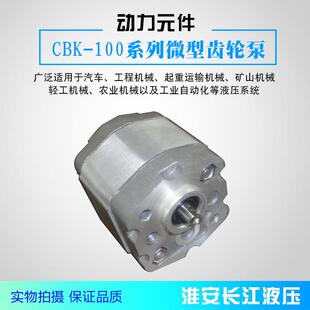 CBK-F100(微型)齿轮泵液压油泵高效液压齿轮油泵厂家直发长江液压