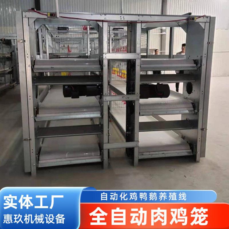 自动喂料肉鸡笼镀锌鸡笼养鸡设备大型养殖鸡舍肉鸡笼厂家