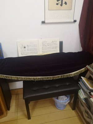 雅马哈电钢琴p48和p45的区别?体验后讲一讲实情感受