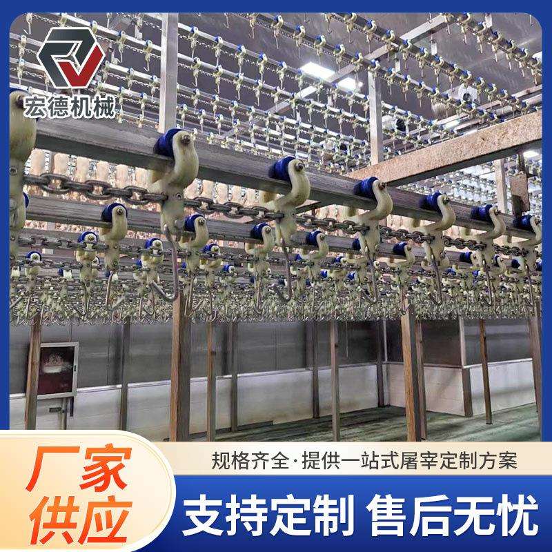 屠宰设备屠宰场大型淘汰蛋鸡宰杀设备肉鸡宰杀连续脱毛设备