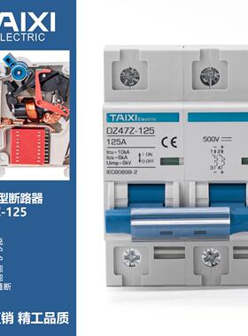 TAIXI泰西2P125ADC直流断路器小型直流空气光伏配电开关DZ47Z空开