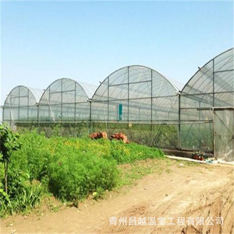 薄膜温室拱棚双拱双模圆拱形大棚一体化设计葡萄种植采摘园林