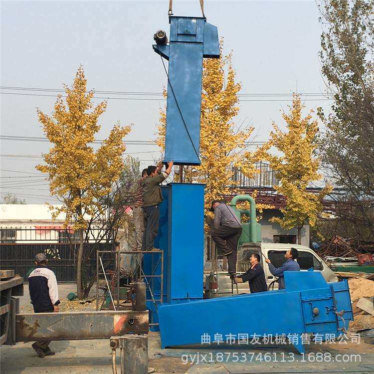 NE瓦斗高距离上料提升机 咖啡豆上料斗式输送机 自动畚斗提升机