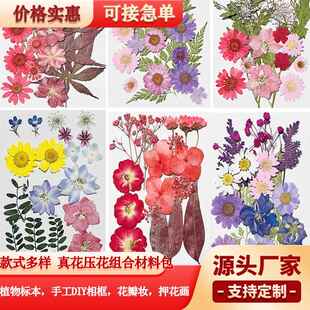 跨境干花压花手工diy材料包滴胶手机壳团扇书签台灯干花押花