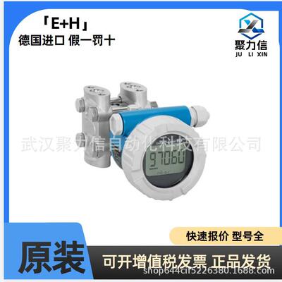 E+H现货 PMP11-2RF2/0压力变送器 PMP11-AA1U1RCWJJ 恩德斯豪斯