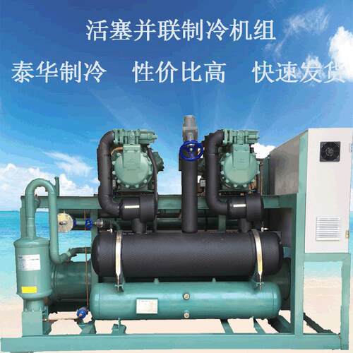 比泽尔半封闭活塞式二并联压缩机组PLC风冷低温全套冷库制冷设备