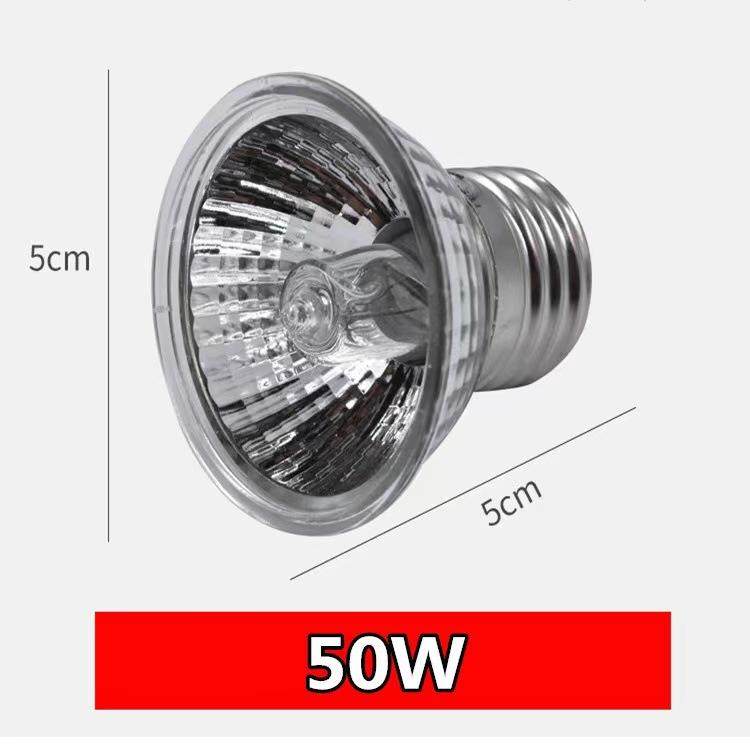 乌龟晒背灯用品uvb灯加热灯乌龟灯uva爬宠灯陶瓷全光谱太阳灯宠物,宠物/宠物食品及用品,照明器材,淘宝优惠券,粉丝福利购,淘宝优惠卷