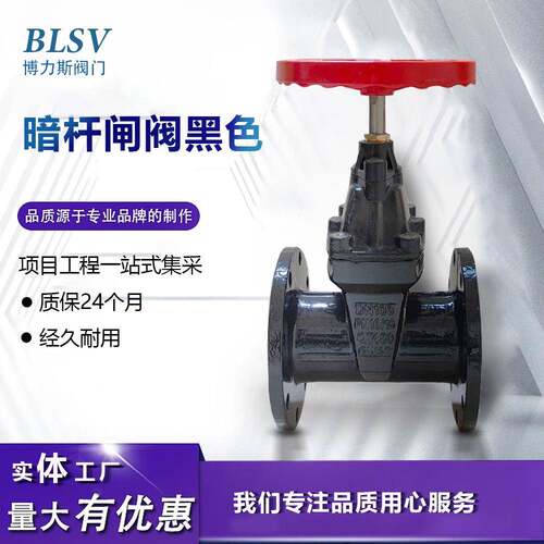 球墨体软密封闸阀暗杆弹性座封Z45X-16Q