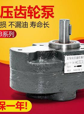 上海牌齿轮泵CB-B2.5 B4 B6 B10 B16 B20 B25 B32高精度液压油泵