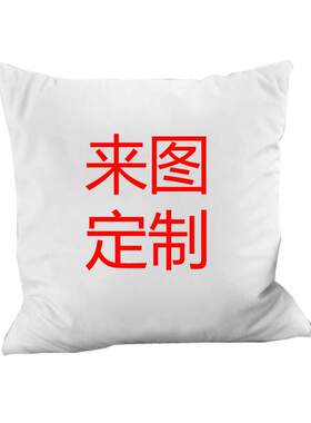 高档DIY图片子定制枕头毯两枕头珊瑚用鹅绒毯子二天合一汽车大被