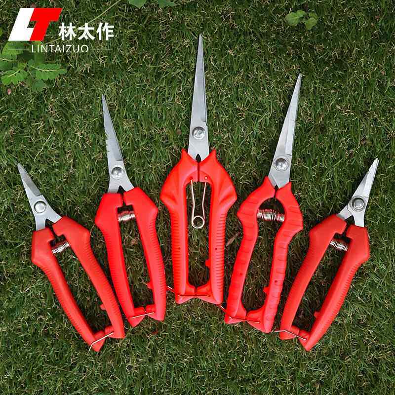 林太作摘果剪不锈钢稀果剪葡萄花椒采摘剪园艺修枝芽采茶工具剪刀