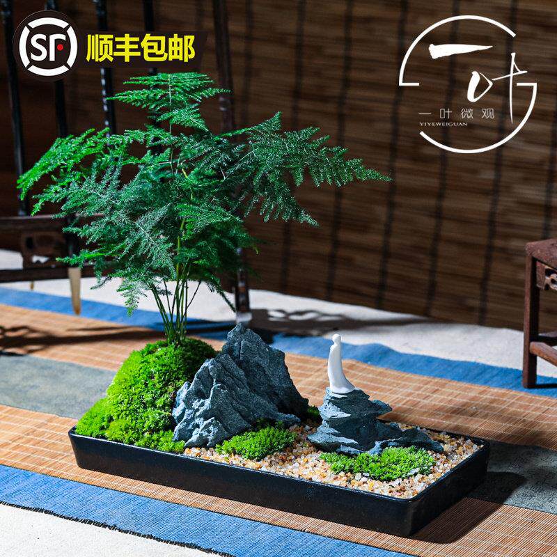 二重山竹禅意文微景植观花卉绿盆新中式装饰摆件茶桌办公室TUV小