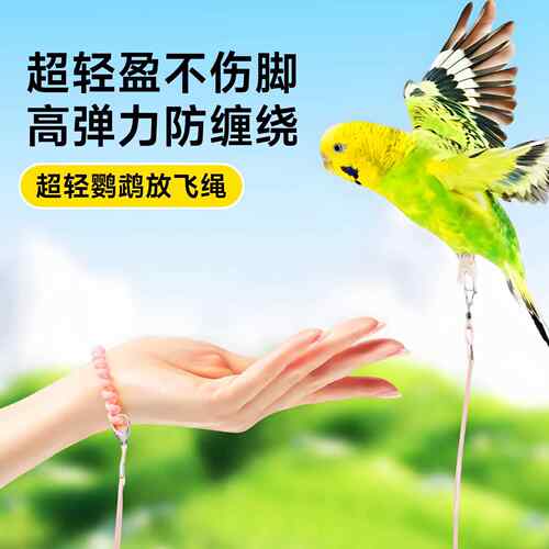 鹦鹉放飞绳外出牵引绳虎皮超轻无感牡丹不伤脚小太阳脚环遛鸟神器
