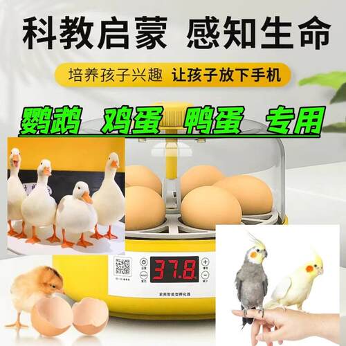 小型家用智能孵化机孵蛋器芦丁鸡小鸡孵化器水床鹦鹉全自动孵化箱
