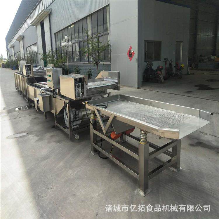 研发果蔬清洗机洗银耳机器连续浸泡清洗去水一体机包邮