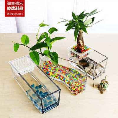 水培植物玻璃花瓶 长方形透明花瓶绿萝睡莲水养花盆器皿容器鱼缸