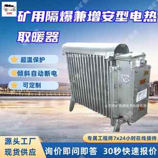 超温保护 RBE 127 矿用隔爆兼增安型电热取暖器 2000 隔爆外壳