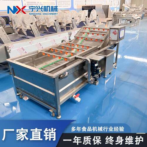 鲜宁兴大型草莓气泡清果洗VPD机 圣女虾清洗设备 全自动鱼海清洗