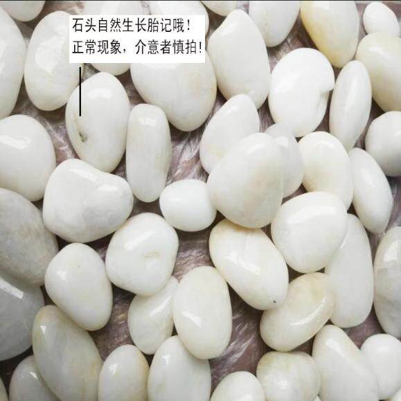 郁金香水培花盆器皿种球花瓶专用盆玻璃风信子圆形长方形鹅卵石子