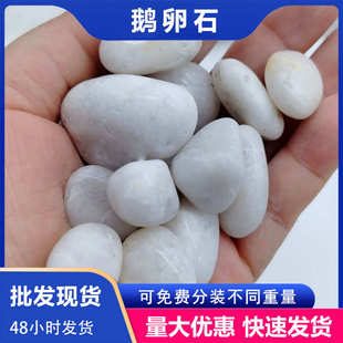 饰水磨石胶粘石批发 天然白色鹅卵石雪花白雨花石园林铺路造景装